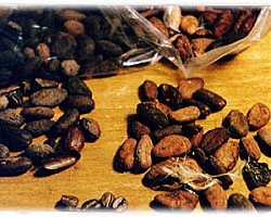 Какаото може да предпазва от инсулт и диабет