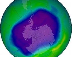 Високите нива на озона провокират сърдечно-съдовата смъртност