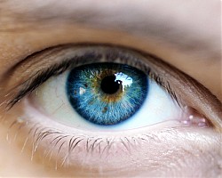 Сините очи са резултат от генна мутация