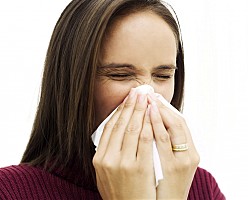 4 натурални средства срещу настинката: действат ли всъщност?