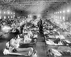 Flu genes help clarify 1918 pandemic