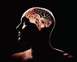 Мозъкът старее по-бързо от тялото