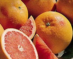 Един грейпфрут дневно намалява холестерола