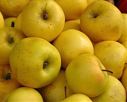 Някои ябълки съдържат до 4 лъжици захар