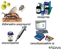 как да се избягват алергените