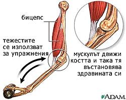 физическа активност