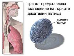 що е грип