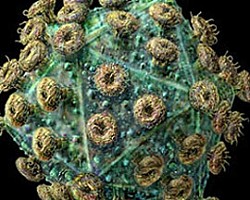 Учени са близо до създаване на ефективна ваксина срещу СПИН
