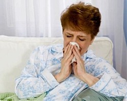 Ехинацеята помага при настинка
