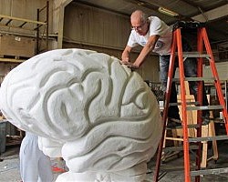 Brain Extravaganza ни напомня колко важен и уязвим е човешкия мозък