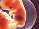 България е в челните места по брой на аборти