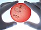 Топ 10 на супервирусите: медицината засега няма отговор