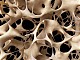 Остеопороза: откъде идва опасността
